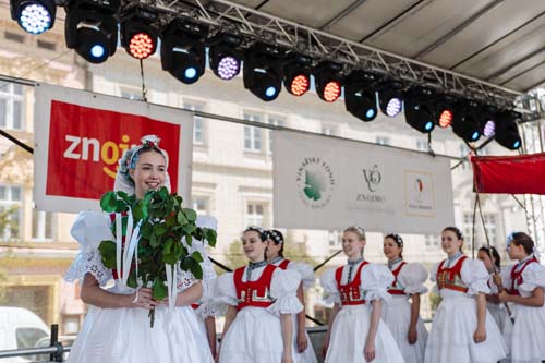 Festival vína VOC Znojmo